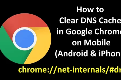 Chrome net internals dns