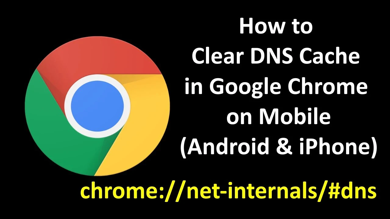 Chrome net internals dns