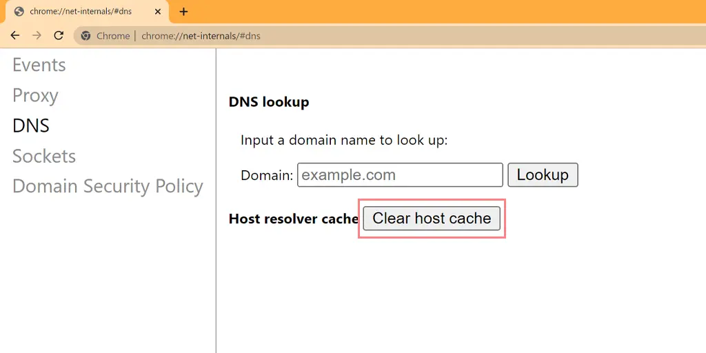 Chrome net internal dns