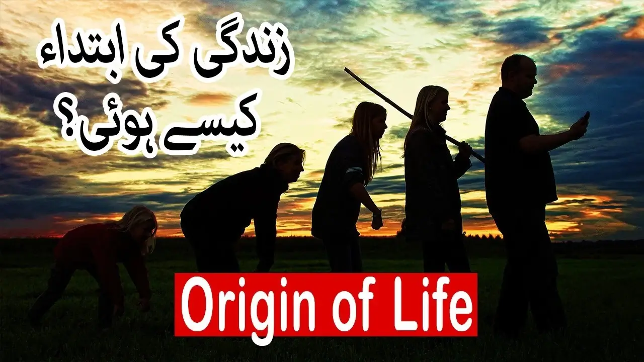 Origin of Life | Creation Vs Evolution | Evolution in Quran | Evolution in Islam | Islamic Knowledge