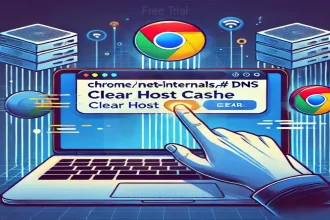 chrome://net-internals/#dns – Clear or flush DNS Cache on Chrome